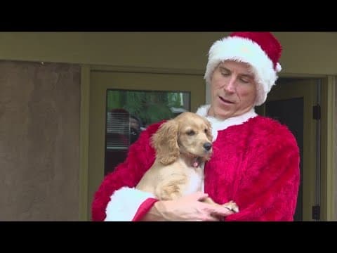Senior and puppy get a special surprise from Meals-on-Wheels in Barrio Logan