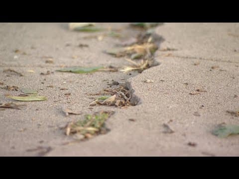 San Diego needs to work on sidewalks the way it works on streets, grand jury report says