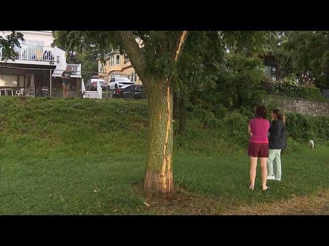 Woman struck by lightning while walking dog on Boston beach