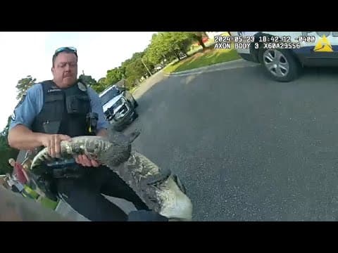 VIDEO: Georgia officers capture gator in neighborhood, release it to the wild