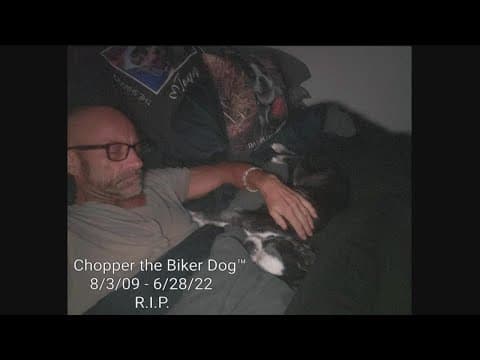 R.I.P. | Chopper the Biker Dog passes away