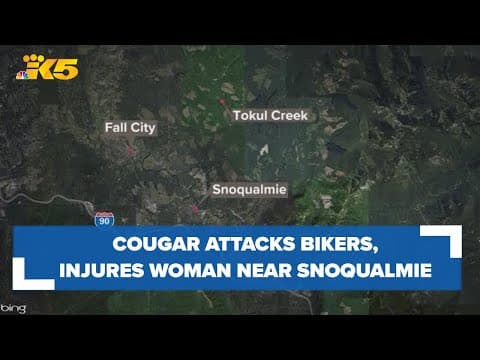 Cougar attacks group of mountain bikers, injures woman near Snoqualmie