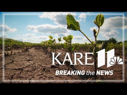 Soybean farmers are heading into harvest season facing a storm that has nothing to do with weather