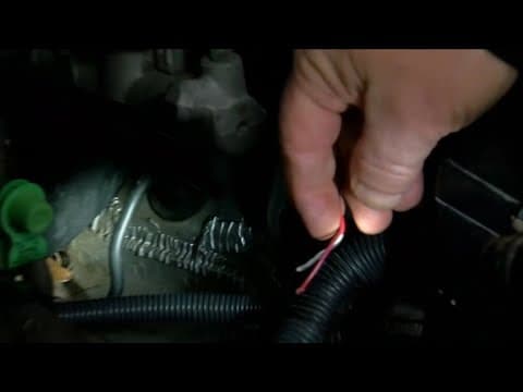 Rats, squirrels and mice can do big damage to your car, so how do you protect it?