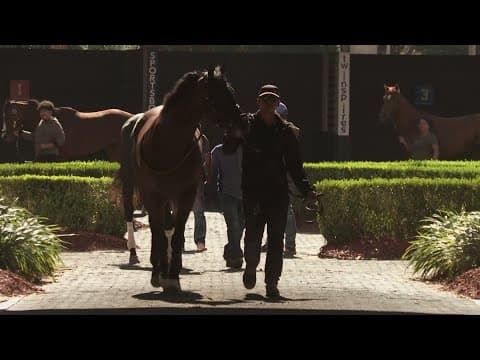 99th annual Thanksgiving Classic at the New Orleans Fair Grounds