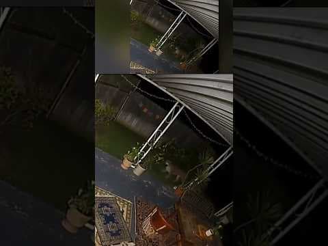 Mountain lion caught on camera roaming around backyard in San Diego