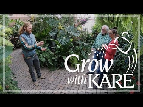 Grow with KARE: Time to prune your water sprouts