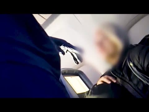VIDEO: Flight attendant questions stowaway on flight from New York to Paris