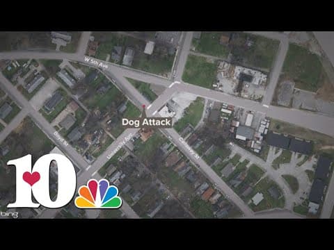 KPD report provides new details after dog attacks 14-year-old at school bus stop