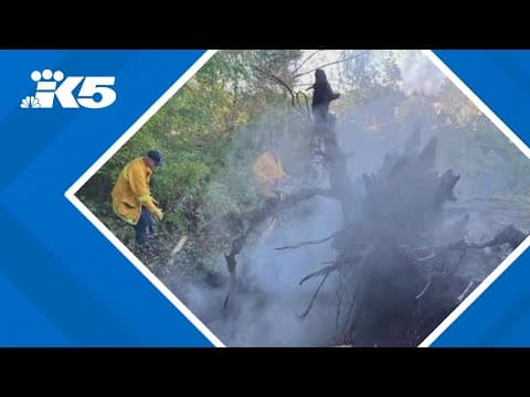 Snohomish County launches survey for resident input on wildfire preparedness