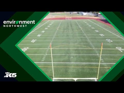 WSU researchers aiming to replace artificial turf with real grass