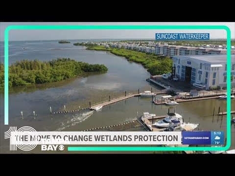 Manatee County to move forward on plans to gut wetland protections