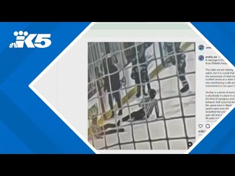 Man who shoved youth hockey officials reaches agreement with prosecutors