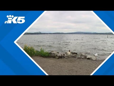 Hearing planned on future of Seattle's Denny Blaine Park