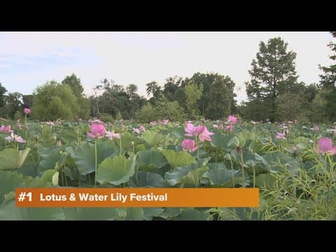 9 Things To Do this weekend