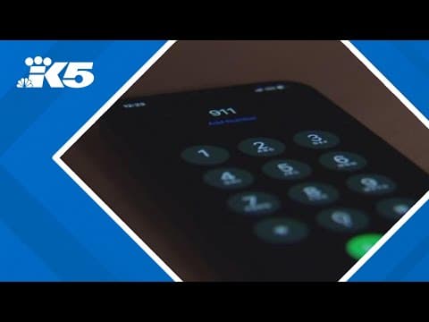 Washington man sentenced for 20 'swatting' calls of false threats in US, Canada