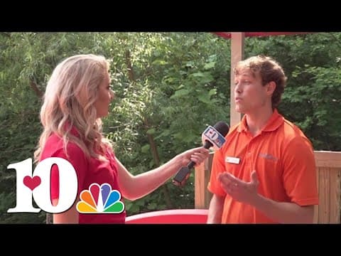 Sevier County Days at Dollywood to benefit Sevier County Food Ministries