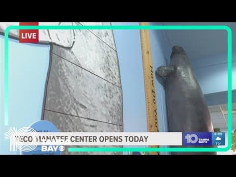 TECO Manatee Viewing Center in Apollo Beach reopens today