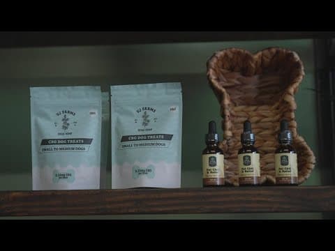 Gov. Greg Abbott considering whether to sign bill banning THC in Texas