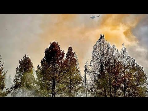 Watch: Crews respond to large brush fire in Mason County