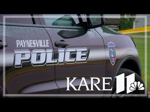 Man dies in arrest attempt during a domestic dispute call in Paynesville