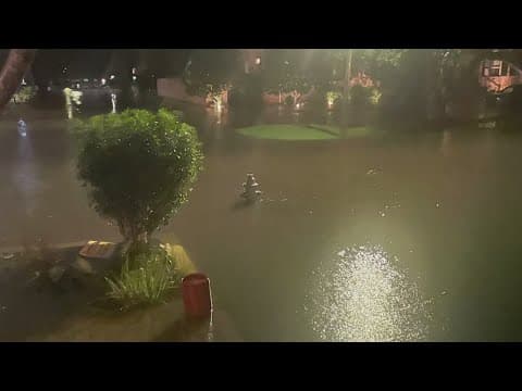 Francine Flooding photos and video from WWL Louisiana viewers