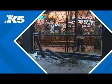Thieves use stolen Hyundai to ram Seattle pot shop