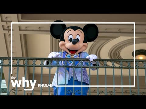 Why is there a Disney ride at Bush Airport?