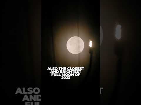 Blue supermoon rises over Portland