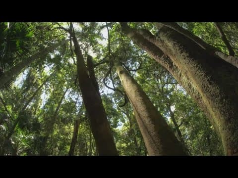 Cutting out some meat from your diet can help your health and the environment