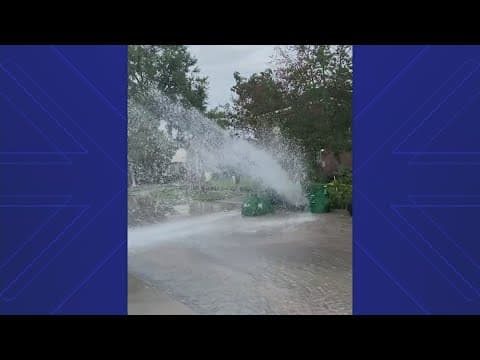 Houston Public Works said they'll have a crew on Monday to take care of this water leak