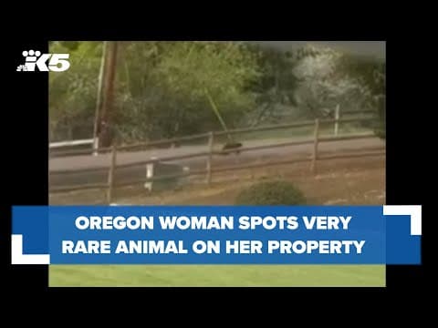 Oregon woman spots rare animal on her property