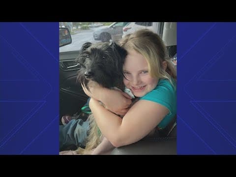 Missing dog reunited with owners after being missing for over 2 years