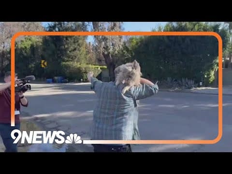 Los Angeles wildfire victim reunited with lost dog