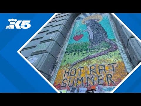 ‘Hot Rat Summer’ mosaic disappears, then reappears