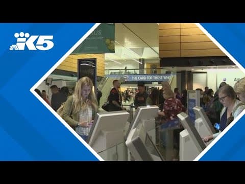 Global service outages ground planes, leave passengers stranded at Sea-Tac Airport