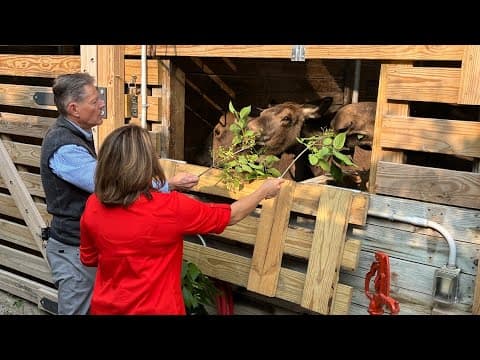 'Columbus Zoo 3.0': CEO Tom Schmid's new vision for global conservation