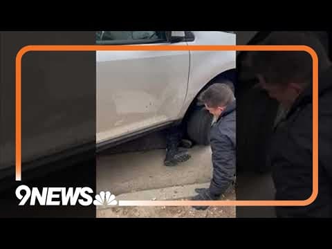 Dog rescued from under car's hood during cold Colorado weather