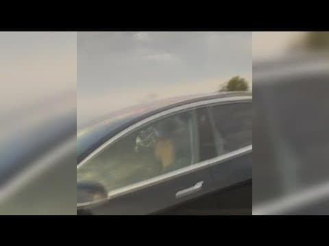 Viral video of Tesla driver sleeping behind the wheel raises safety concerns