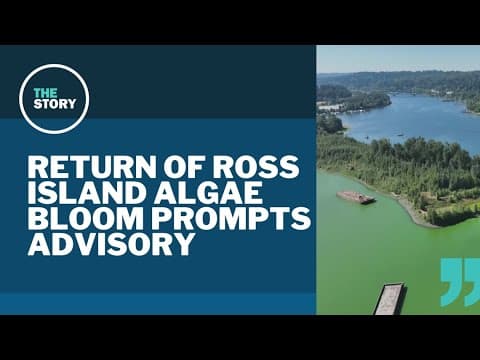 Oregon Health Authority issues advisory for parts of Willamette River, Ross Island Lagoon