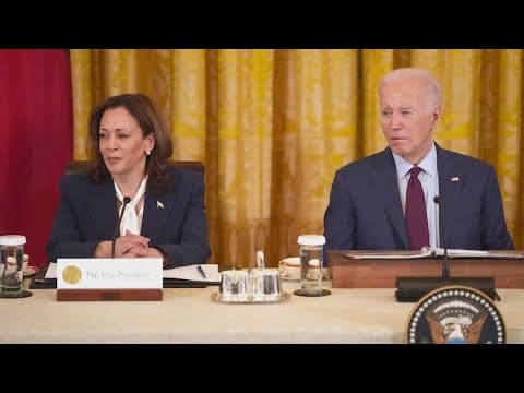 Texas delegates could be critical in securing Democratic candidacy for Vice President Kamala Harris