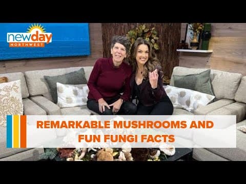 Remarkable mushrooms and fun fungi facts - New Day NW