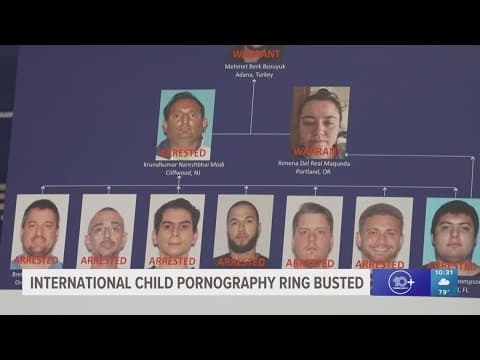 'Faces of evil': Florida authorities announce arrests in global child abuse ring bust