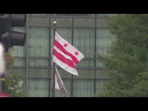 Suspects in DOGE employee assault back in court