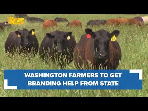 Meat, dairy, agriculture products from Washington to get marketing help under new law