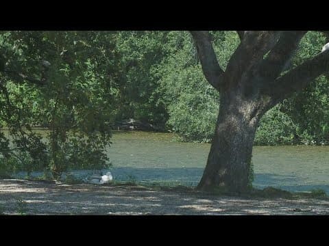 Body found floating in Audubon Park lagoon identified