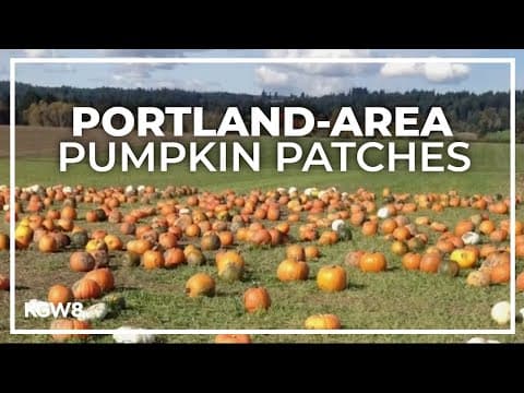 Check out these pumpkin patches around the Portland metro area