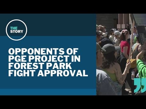 Portland City Council hears appeal of PGE plan to cut trees in Forest Park