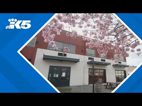 Rooftop Brew Co. to reopen at Maritime Pacific location in Ballard