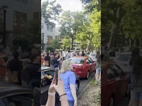 Minneapolis Cat Tour cheers the felines of the Wedge neighborhood